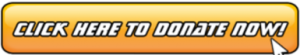 QEG open source generator donation