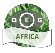 qeg africa logo