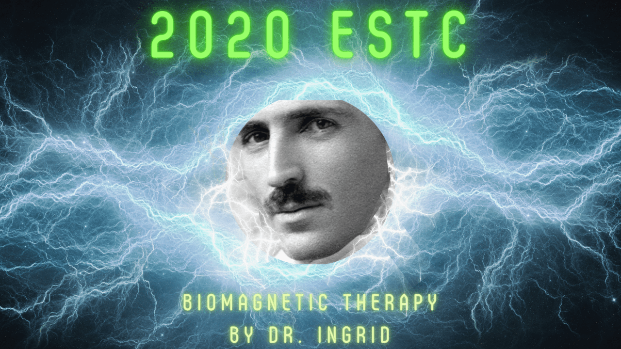 biomagnetic therapy